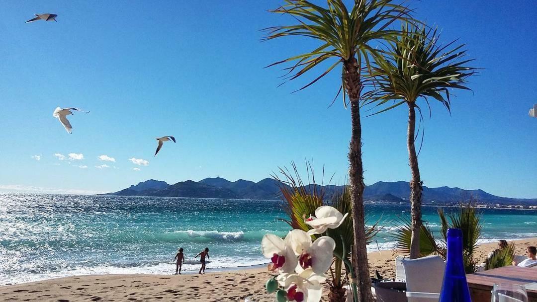 Magnifique 2 Pièces Cannes Centre Terrasse Esterno foto